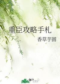 重臣攻略手册TXT