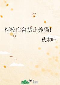 寝室允许养猫吗