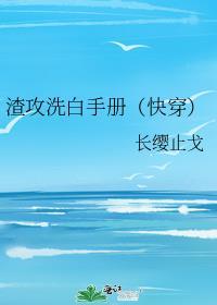渣攻洗白手册by