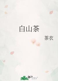 白山茶是什么意思