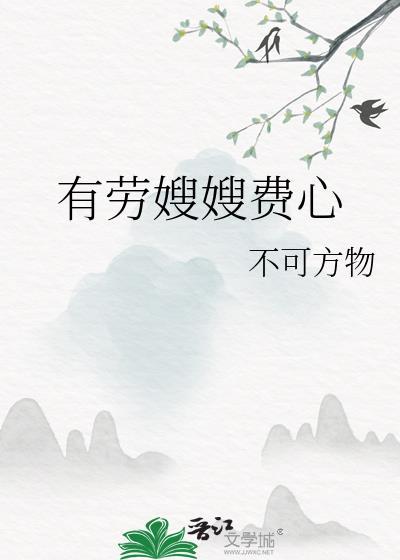 有劳嫂嫂费心 txt