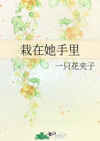 栽在你手心