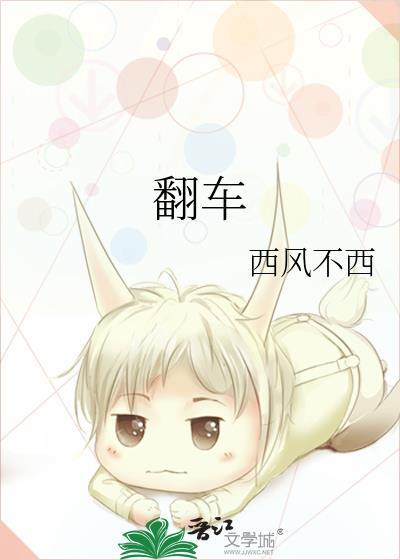 翻车指南