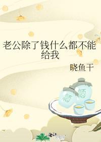 老公除了钱什么都不能给我TXT