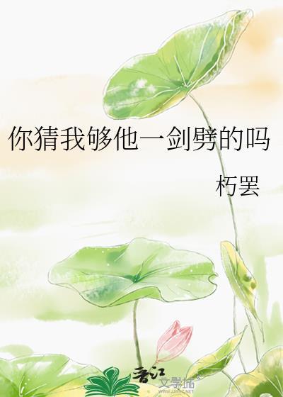 你猜我够他一剑劈的吗晋江