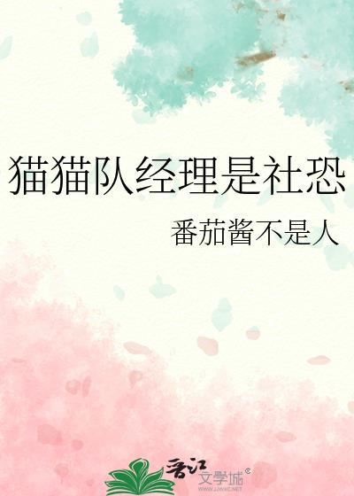 猫猫战队群