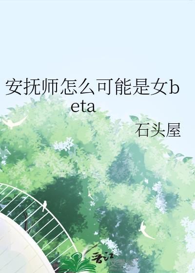 安抚副使