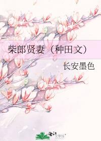 柴郎贤妻(种田文)