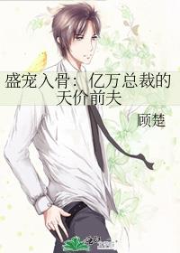 盛宠入骨:亿万总裁的天价前夫