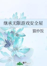 继承无限游戏安全屋