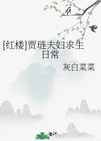 [红楼]贾琏夫妇求生日常