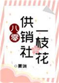八零供销社一枝花