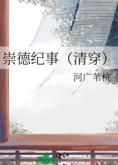 崇德纪事（清穿）