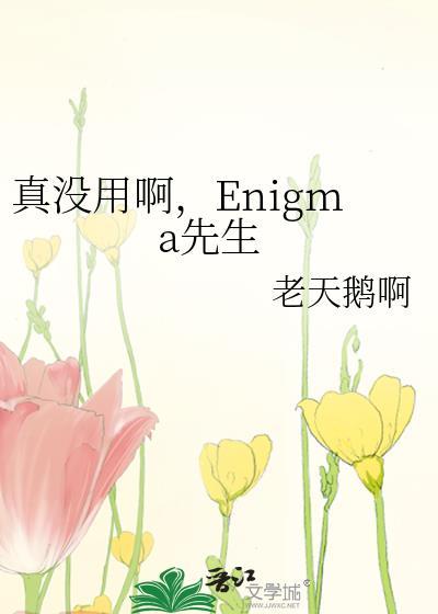 真没用啊，Enigma先生