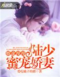 婚途漫漫:陆少蜜宠娇妻