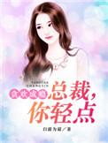 贪欢成瘾:总裁,你轻点