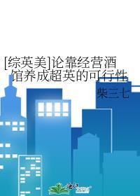 [综英美]论靠经营酒馆养成超英的可行性