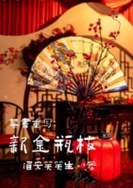 禁书重写:新金瓶梅